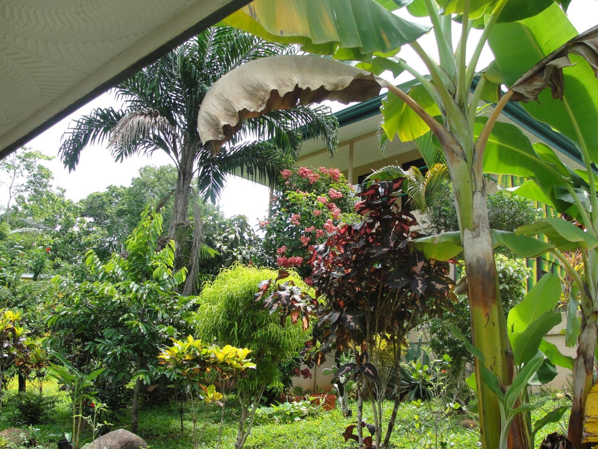 Big Bamboo De Uvita Exterior foto
